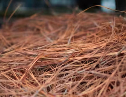 Pine Straw Roll