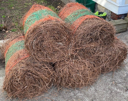 Pine Straw Roll
